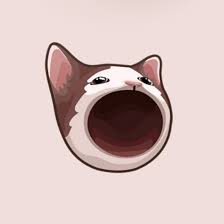 Popcat